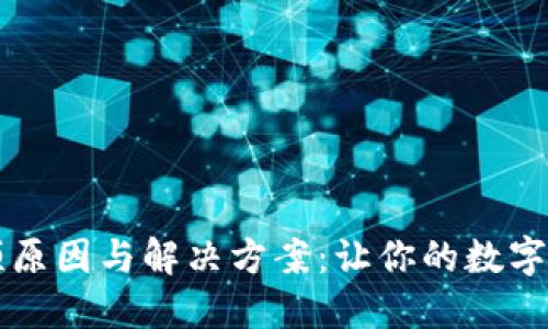 解密TP钱包卡顿原因与解决方案：让你的数字资产管理更顺畅