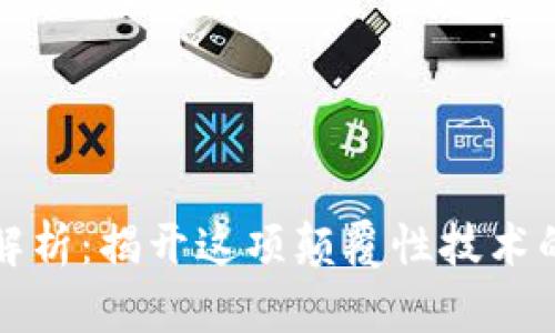 区块链全解析：揭开这项颠覆性技术的神秘面纱