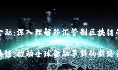 面向未来的金融：深入理解外汇管制区块链的概念与实现

外汇管制区块链：推动全球金融革新的新路径